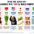 나라별 주식 '개미' 별칭 이미지
