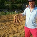 종철농장 이미지