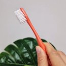 이가의안클린 이미지