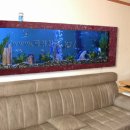 현대수족관 이미지