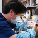 더와이즈치과기공소 이미지