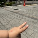 의미 있는 하루, 그리고 가족과 함께한 ‘양심소’에서의 저녁_광교롯데몰예림실장리뷰