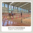 영천시운주산승마조련센터 | 영천 가볼만한곳 승마체험 가능한 운주산말문화체험관