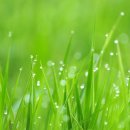 강화군산림조합 이미지