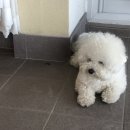 올라펜션 이미지