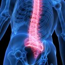 화원정형외과의원 이미지