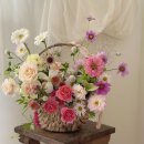 아우어모먼트 이미지