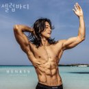 셀럽바디 이미지