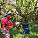 길벗식당 이미지