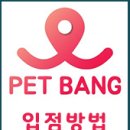 우주펫살롱 이미지