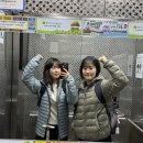 (주)제주왕 | 2026 제주 국제 트레일러닝 36K