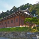 군민체육공원 인라인스케이트장 이미지