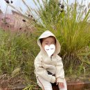 고요다락 이미지