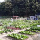 수성농장 이미지