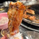 닭꾸바 이미지