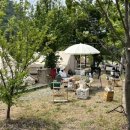 남대천L 이미지