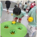 팀태권도장 이미지