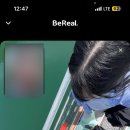 산과물과별