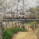 동광부동산중개사무소 이미지