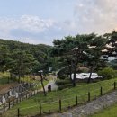 고매로43번길 | 용인 테일45 애견카페 솔직 후기 | 운동장·레스토랑·산책로까지 있는 곳