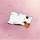 [공연] 뒤늦은 SG워너비 20주년 앙콜콘서트 후기 (체조경기장 KSPO DOME 플로어 시야)