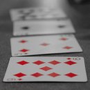 경기동물메디컬센터 이미지