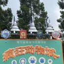 아일오브걸 이미지