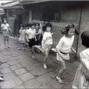 동제농장 Daum카페