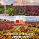 송백자전거도로 이미지