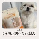 우리집 강아지 | 국개대표 한입트릿 강아지동결건조간식ㅣ입맛까다로운 우리집 강아지 최애 간식이 된 후기