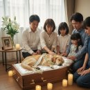 오동축산 | 강아지 장례 비용 얼마나 들까? 직접 겪은 무지개다리 후기와 합리적인 업체 선택 팁 (2026 최신)