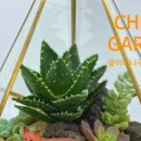 종덕초등학교병설유치원 이미지