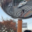 고삐리둘 이미지