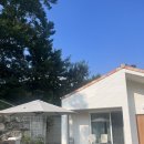 스테이 산위 이미지