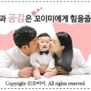 술정중앙길 이미지