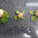 양평샘꼴농장 이미지