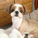 서울미용타운 이미지