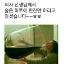 니도 이미지