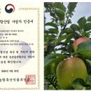 메디그린 이미지