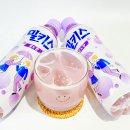 세븐일레븐 강남스퀘어점 | 밀키스 포도맛 파는곳 가격 칼로리 맛 솔직 후기