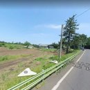 제주도 제주시 흑염소 농장 급매 이미지