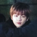 구양도 이미지