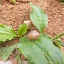 터닝포인트 카카오 검색결과