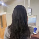 도은 | 청주 송절동 미용실 디어룸, 손질 쉬운 레이어드펌 도은실장 후기
