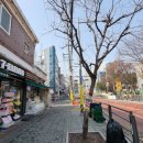 석관초등학교 정문 이미지