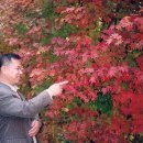 성상1리 이미지