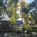 신사2-004 이미지