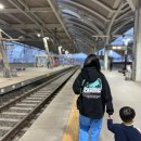 초로동물병원 | 28개월 아기 음낭수종 수술 / 서울 강남 담소유 병원 / 서혜부 탈장 / 음낭수종 / 탈장수술