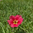 덕산 아라채 이미지