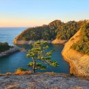 조은사람들 이미지